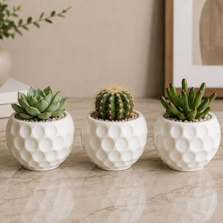 Mini Succulent Planters (Set of 3)